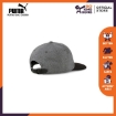 Picture of PUMA Archive Low Curve Cap - Dark Shadow Heather - Puma Black - Adults - Unisex - 02313604