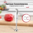 Picture of Tefal Mix Dailychef Hand Blender (HB551165)