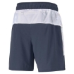 Picture of PUMA RUN GRAPHIC 7" SHORT M Spellbound-Puma White - 52086066