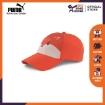 Picture of PUMA Animal BB Cap-Paprika-Fox-YOUTH-Unisex-02283501